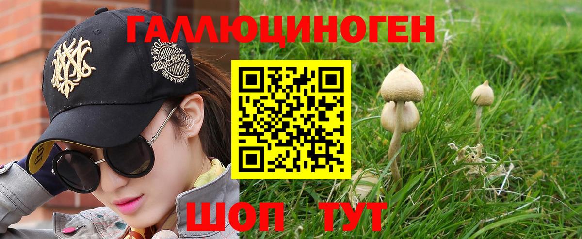 Гулькевичи  Псилоцибиновые грибы мухоморы  Вход с VPN 